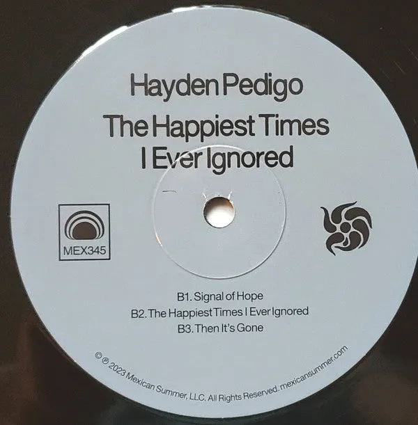 Hayden Pedigo ~ The Happiest Times I Ever Ignored