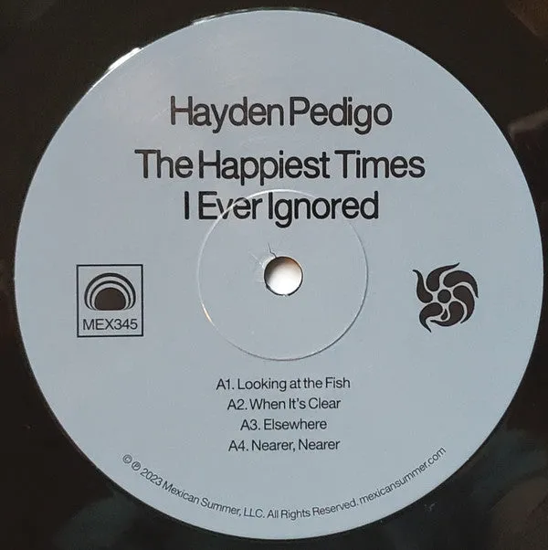 Hayden Pedigo ~ The Happiest Times I Ever Ignored