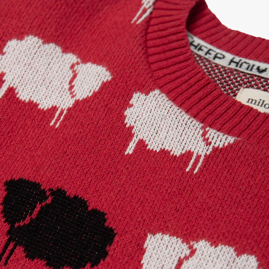 Milo & Dexter Princess Diana - The Holy Sheep Sweater