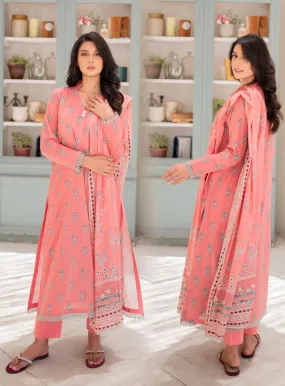 Naqsh By Rashid Textile Embroidered Lawn 3 Piece Unstitched Suit RT24NEL D-8483