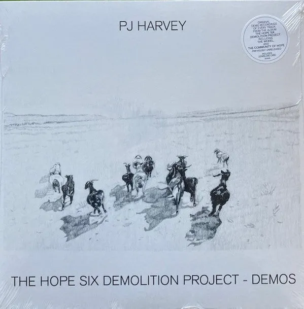 PJ Harvey ~ The Hope Six Demolition Project - Demos