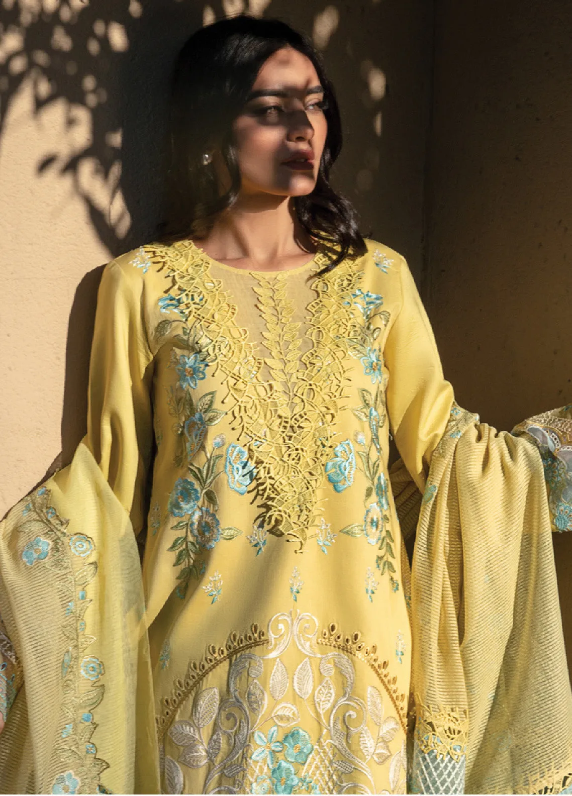 Rang Rasiya Embroidered Lawn Unstitched 3 Piece Suit - RR24L 01 AMANI